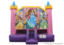 Disney princess bounce house